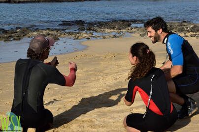 Beginner windsurf lesson in Fuerteventura