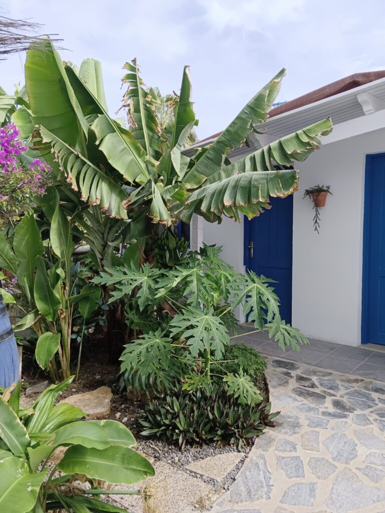 La Cometa — Bungalows