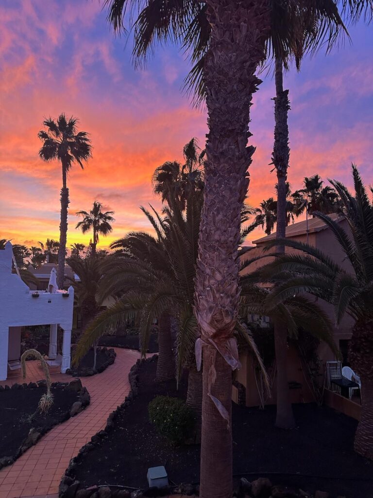 Vista Del Sol — photo 20 of 27